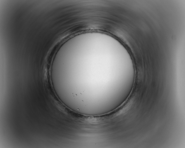 X0000088710827200706141447