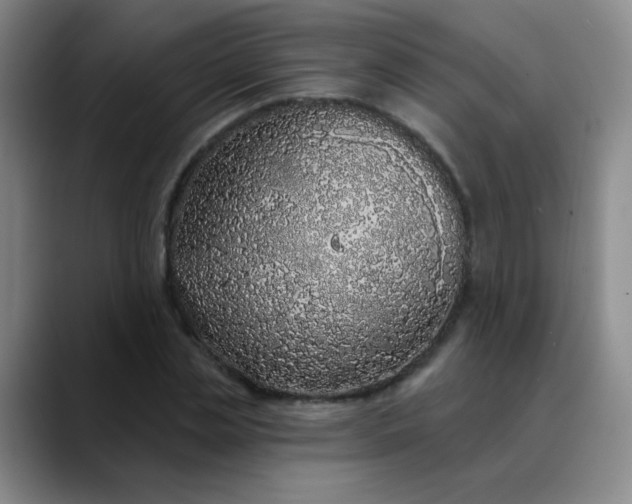 X0000088710829200706141447