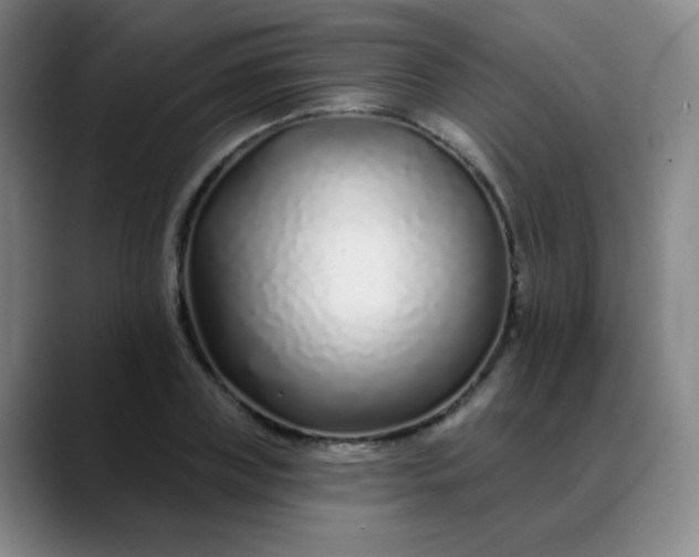 X0000088710835200706141447