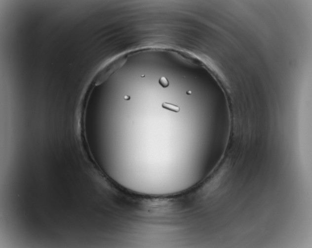 X0000088710846200706141447