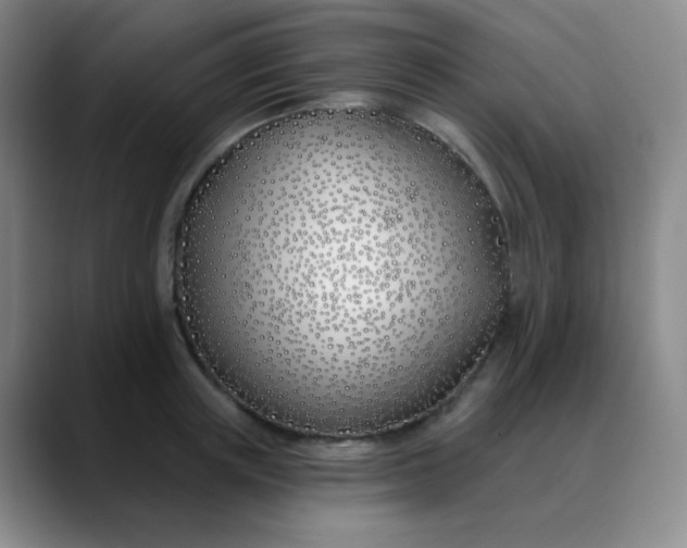 X0000088710851200706141447