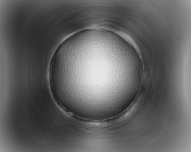 X0000088710855200706141447