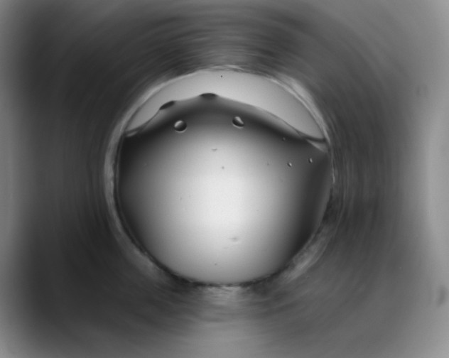 X0000088710859200706141447