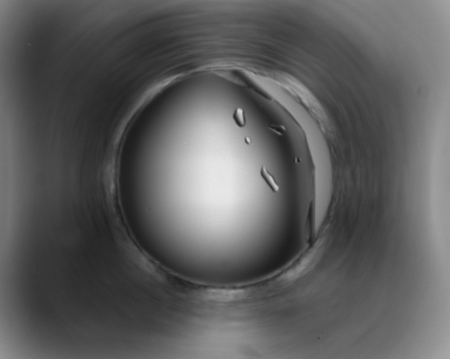 X0000088710860200706141447