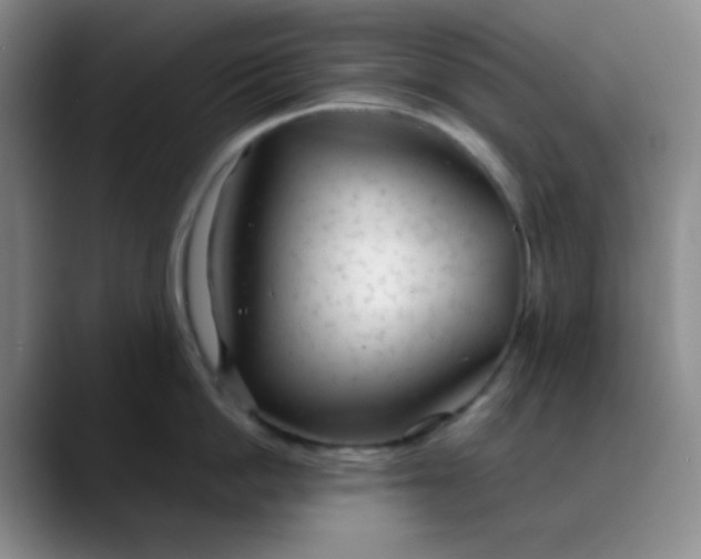 X0000088710862200706141447