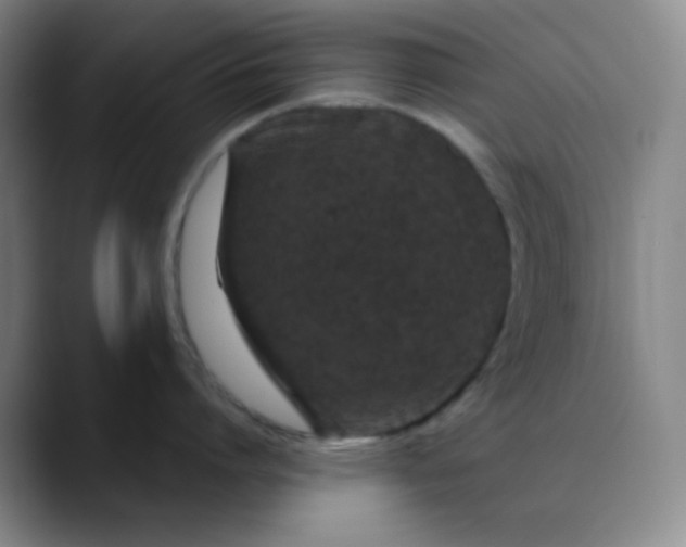 X0000088710864200706141447