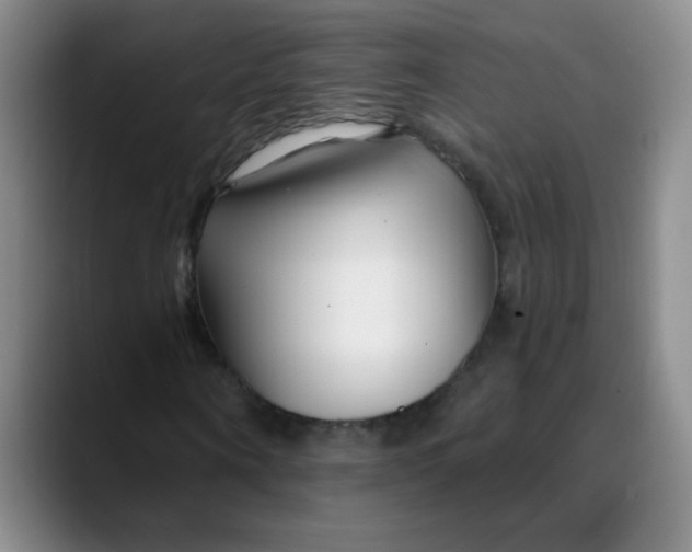 X0000088710866200706141447