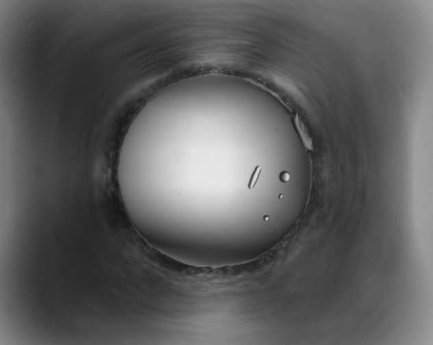 X0000088710872200706141446