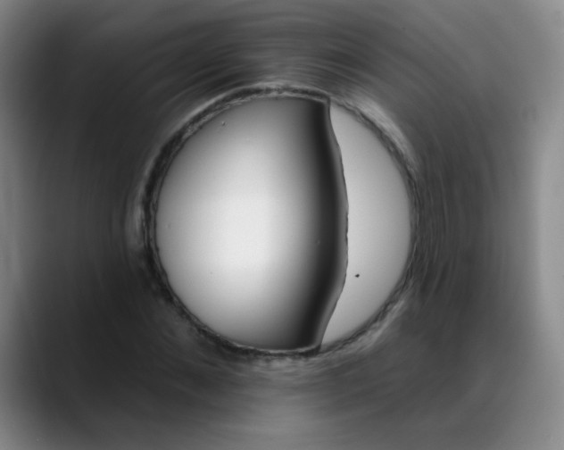 X0000088710876200706141446