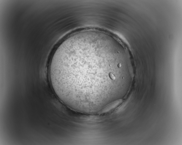 X0000088710879200706141446