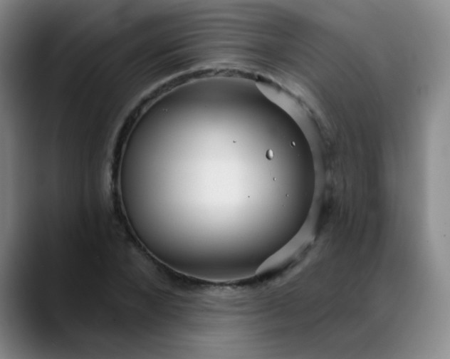 X0000088710880200706141446