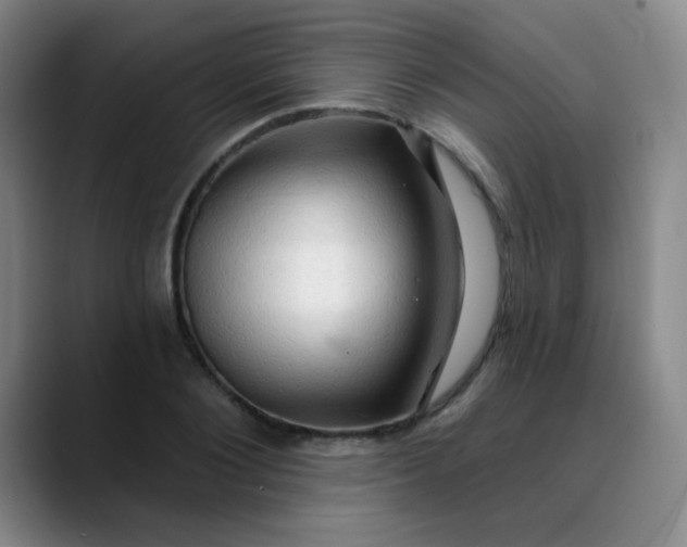 X0000088710884200706141446