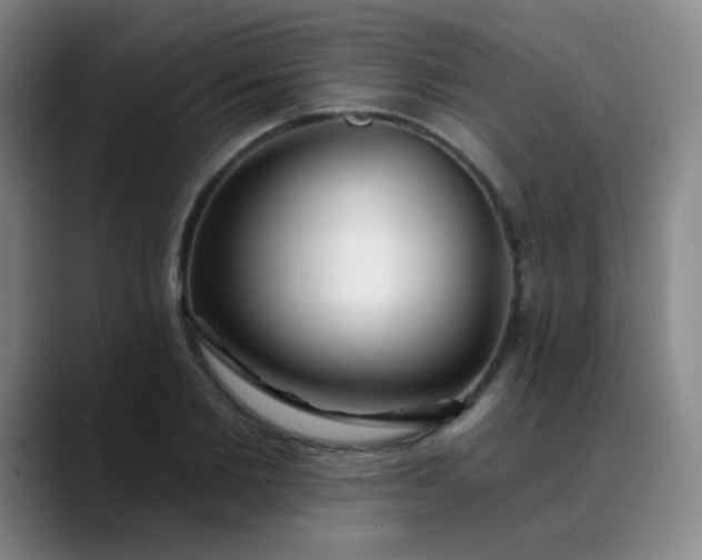 X0000088710885200706141446