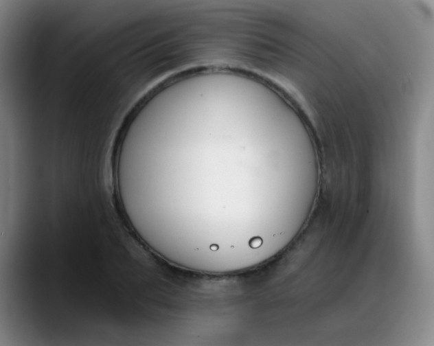 X0000088710887200706141446