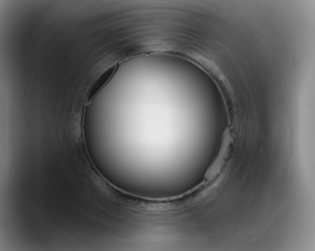 X0000088710889200706141446