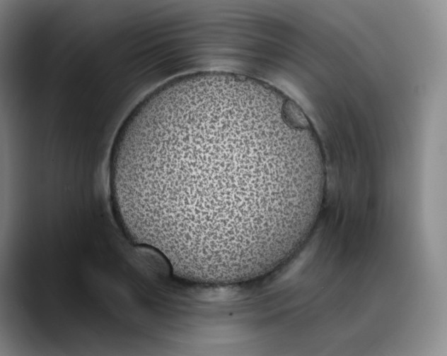 X0000088710891200706141446