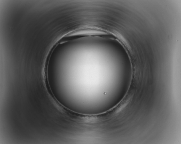 X0000088710893200706141446