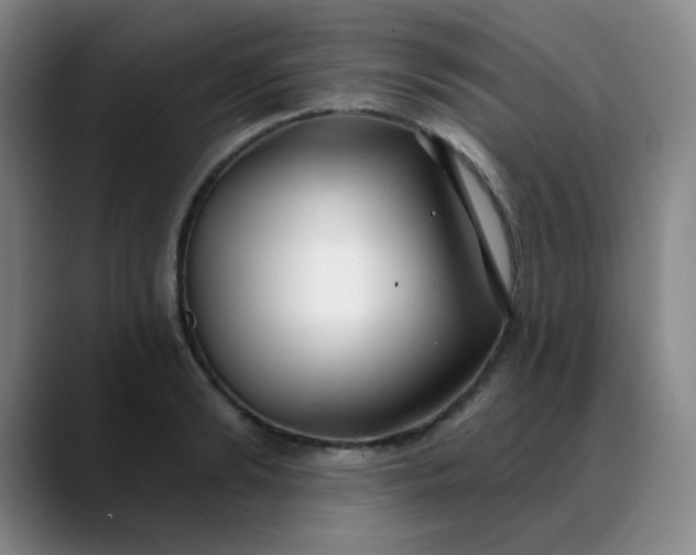 X0000088710894200706141446