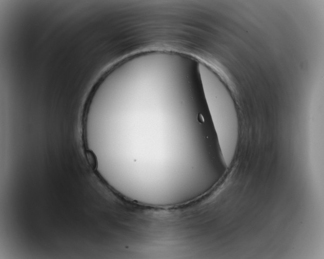 X0000088710896200706141446