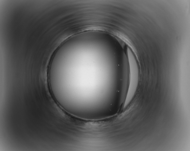 X0000088710898200706141446