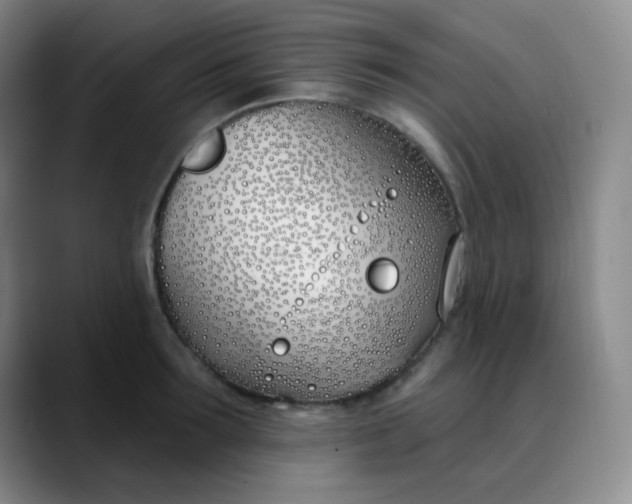 X0000088710899200706141446