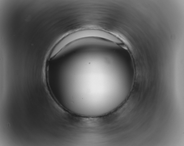 X0000088710902200706141446