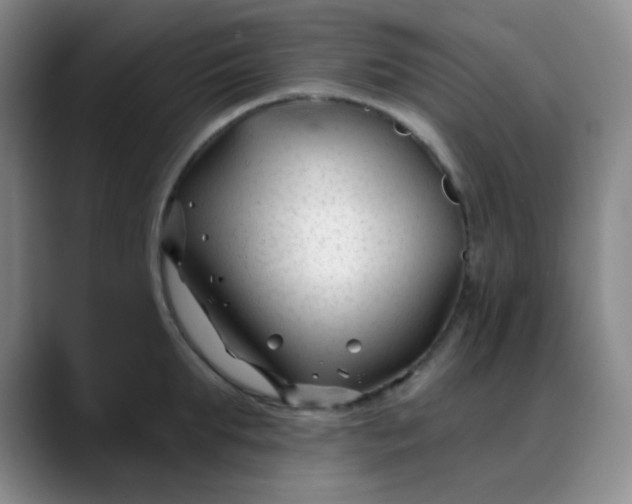 X0000088710903200706141446