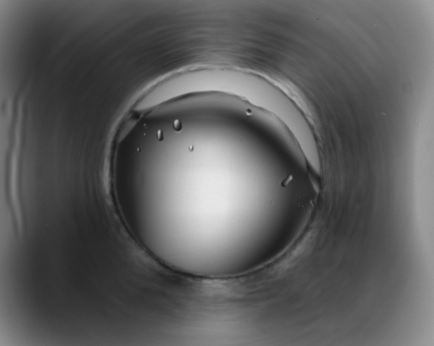 X0000088710904200706141446