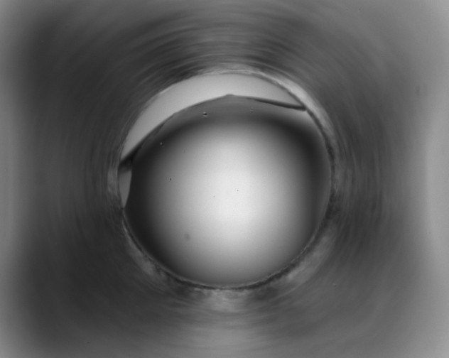 X0000088710905200706141446