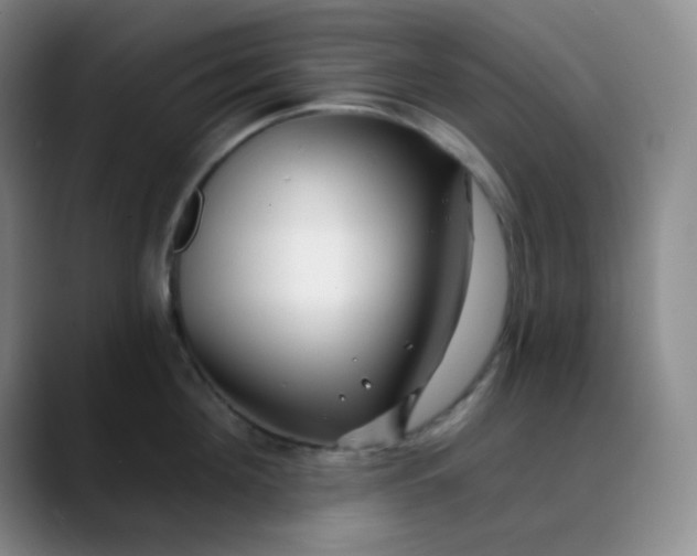 X0000088710908200706141446