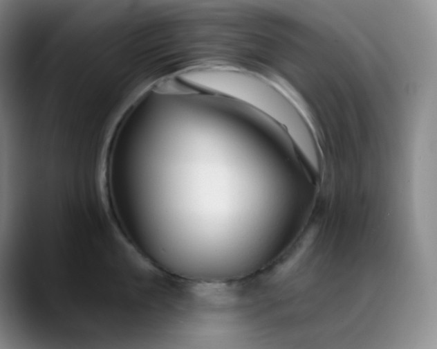 X0000088710909200706141446