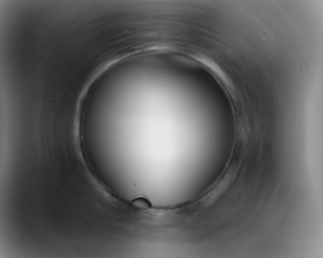 X0000088710910200706141446