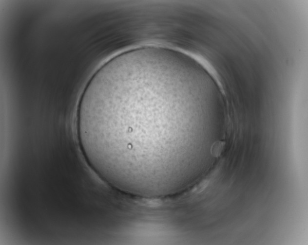 X0000088710911200706141446