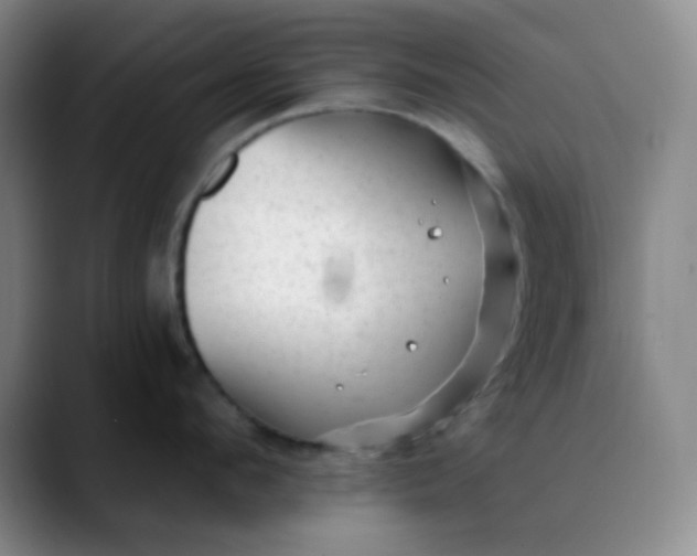 X0000088710912200706141446