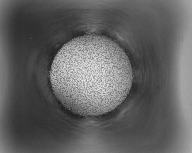 X0000088710913200706141445