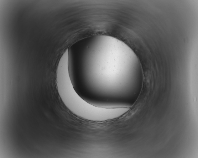 X0000088710916200706141445