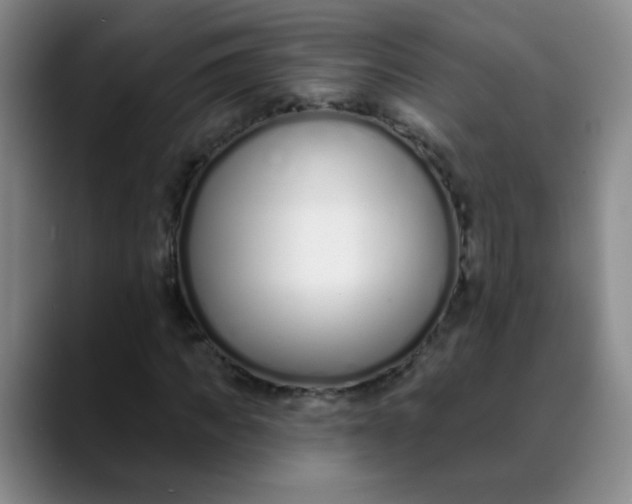 X0000088710917200706141445