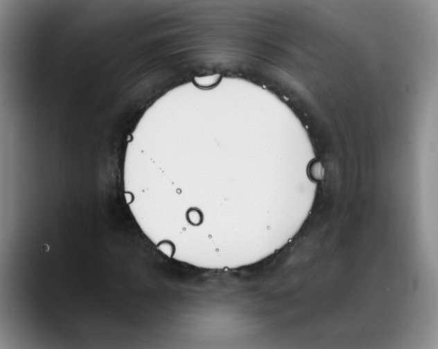 X0000088710918200706141445