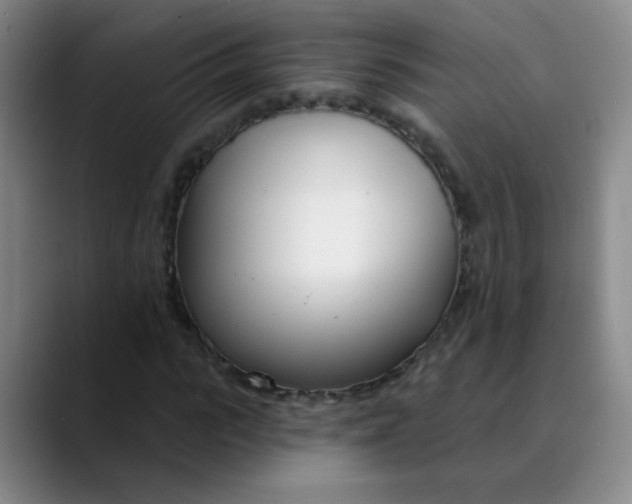 X0000088710919200706141445