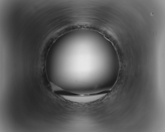 X0000088710920200706141445