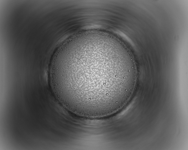 X0000088710921200706141445