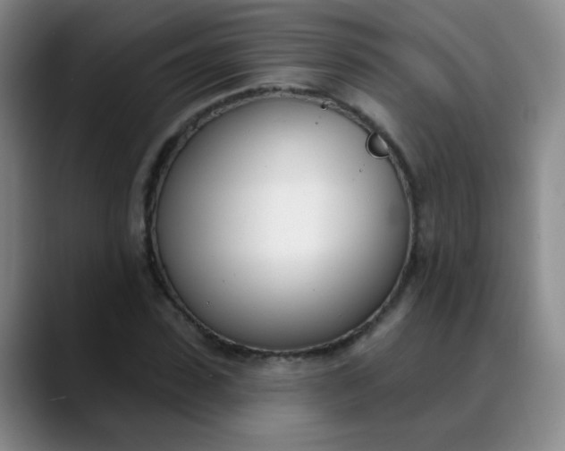 X0000088710923200706141445