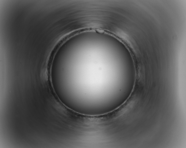 X0000088710924200706141445