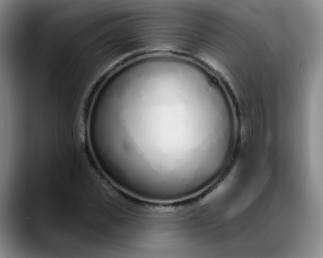 X0000088710925200706141445