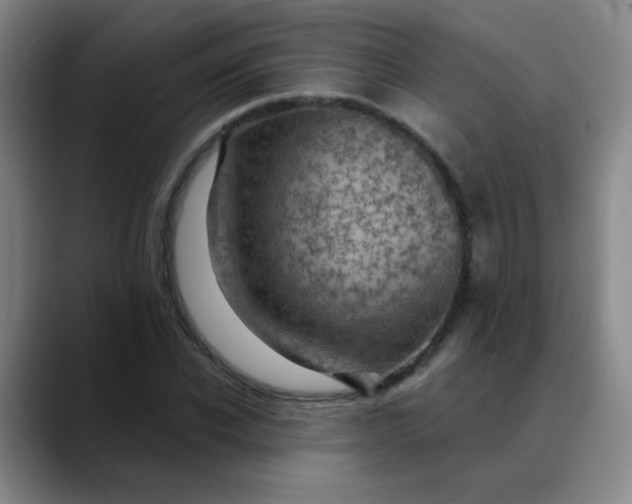 X0000088710926200706141445