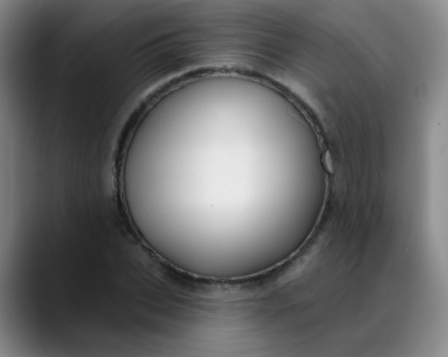 X0000088710927200706141445