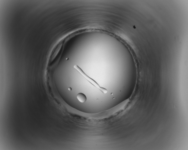 X0000088710928200706141445