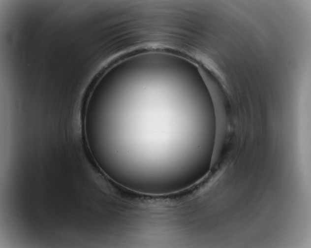 X0000088710934200706141446