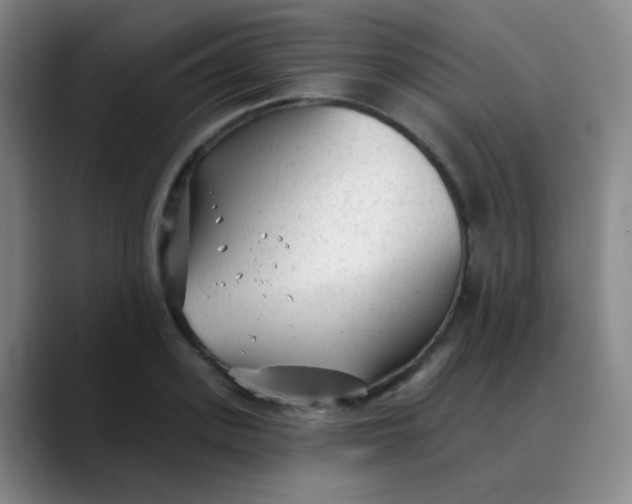 X0000088710939200706141446