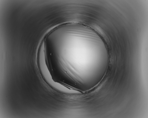 X0000088710940200706141446